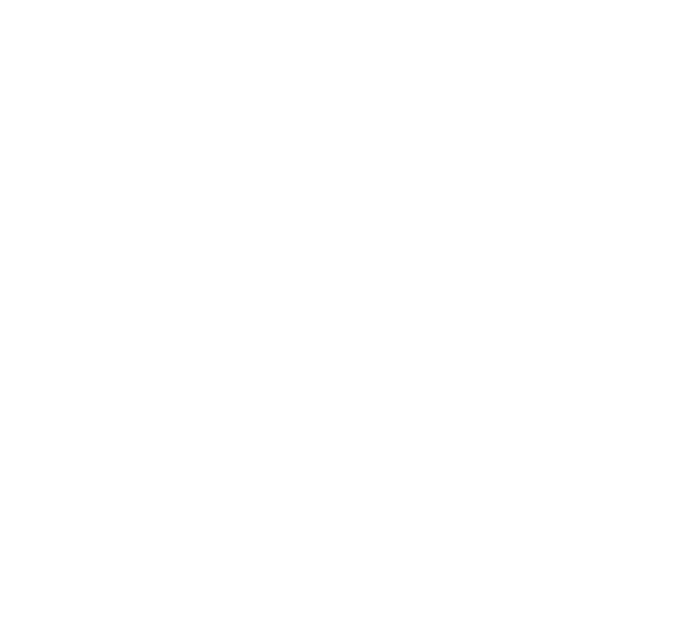 Black Lions Pub and Pizza - Main Logo